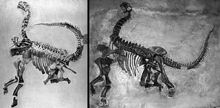 Illustration for article titled The Original Jurassic Park